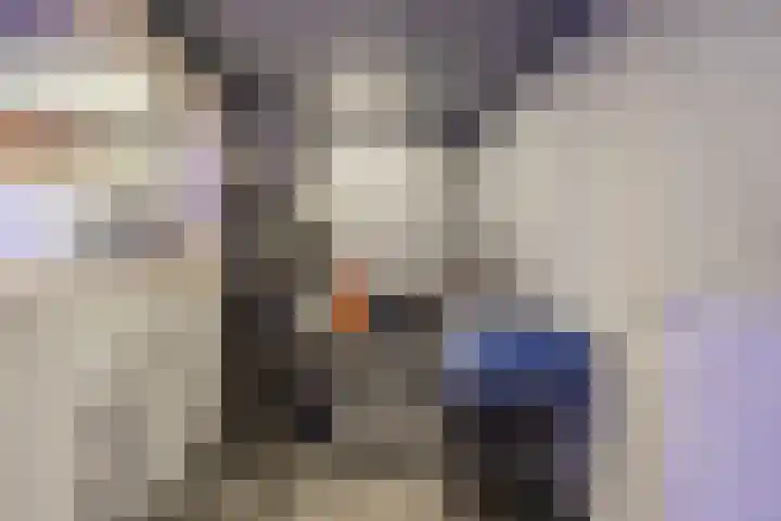 Violier 11 Haaksbergen thumbnail 40