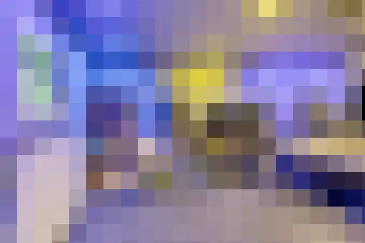 Violier 11 Haaksbergen thumbnail 41