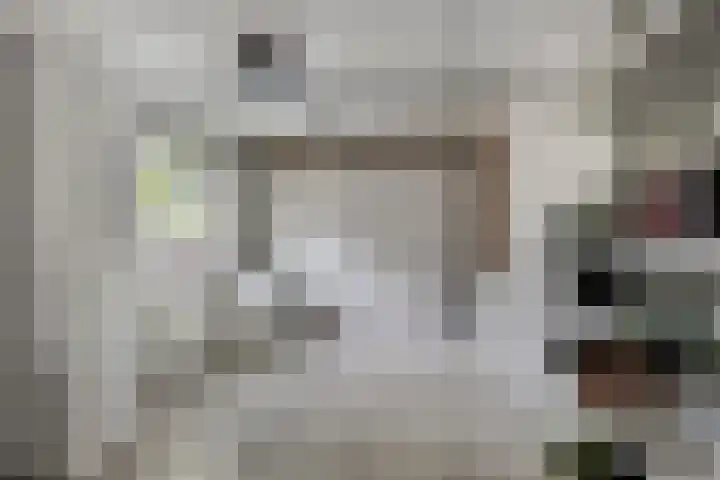 Violier 11 Haaksbergen thumbnail 44