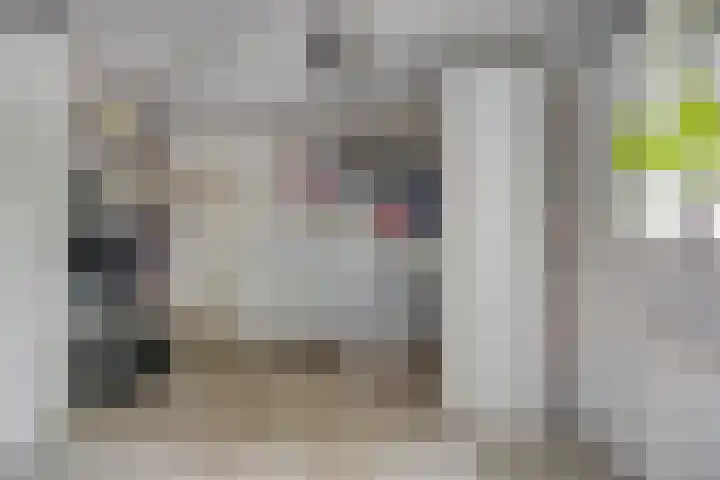 Violier 11 Haaksbergen thumbnail 45