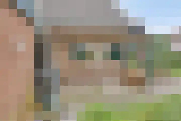 Violier 11 Haaksbergen thumbnail 46