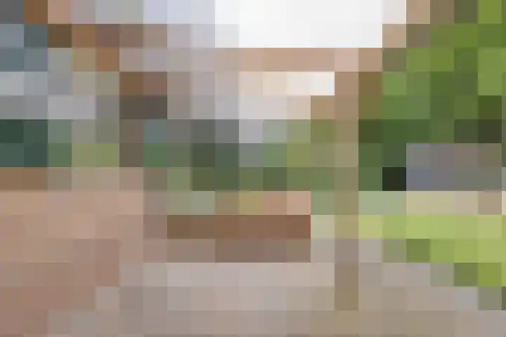 Violier 11 Haaksbergen thumbnail 47
