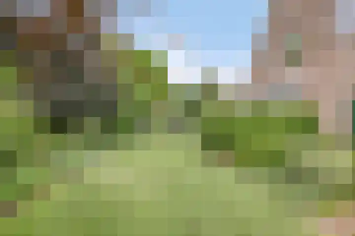 Violier 11 Haaksbergen thumbnail 49