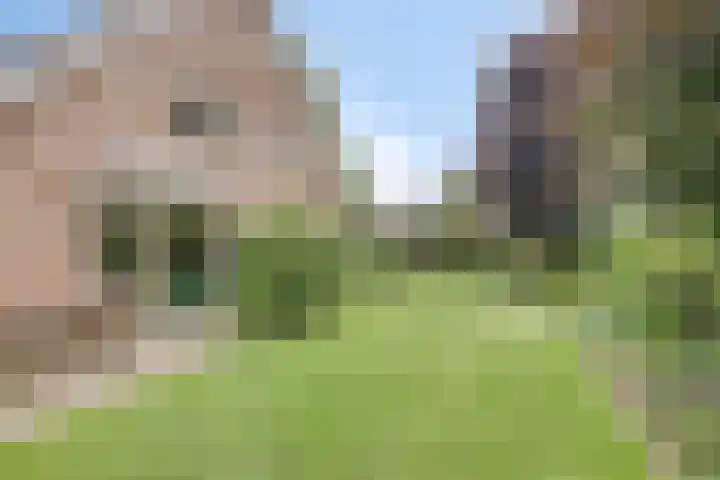 Violier 11 Haaksbergen thumbnail 50