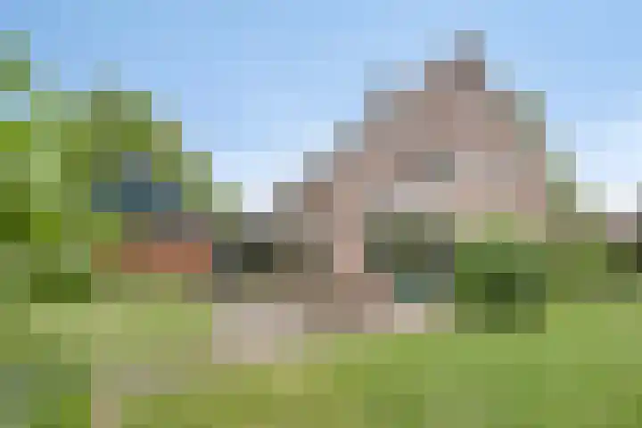 Violier 11 Haaksbergen thumbnail 51