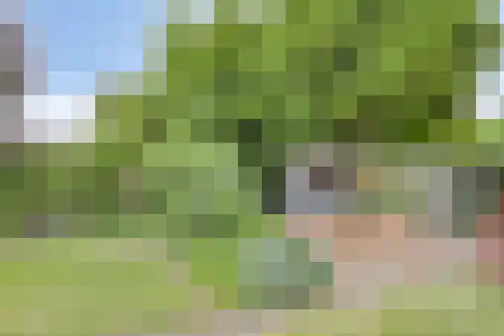 Violier 11 Haaksbergen thumbnail 52