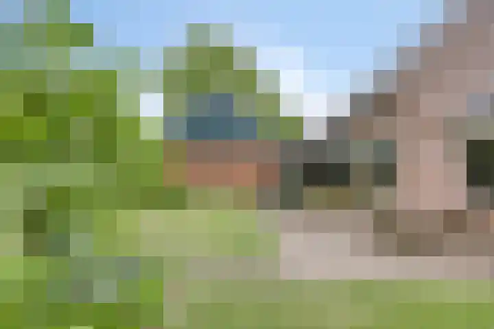 Violier 11 Haaksbergen thumbnail 53