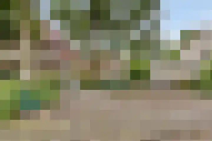 Violier 11 Haaksbergen thumbnail 54