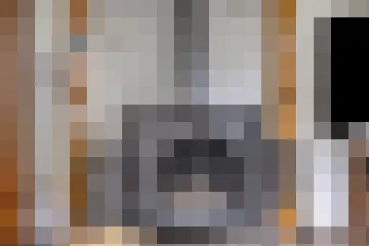 Violier 11 Haaksbergen thumbnail 9