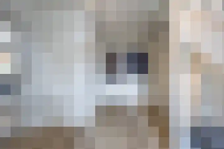 Violier 17 Grave thumbnail 11