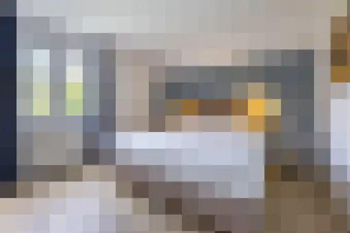 Violier 17 Grave thumbnail 14