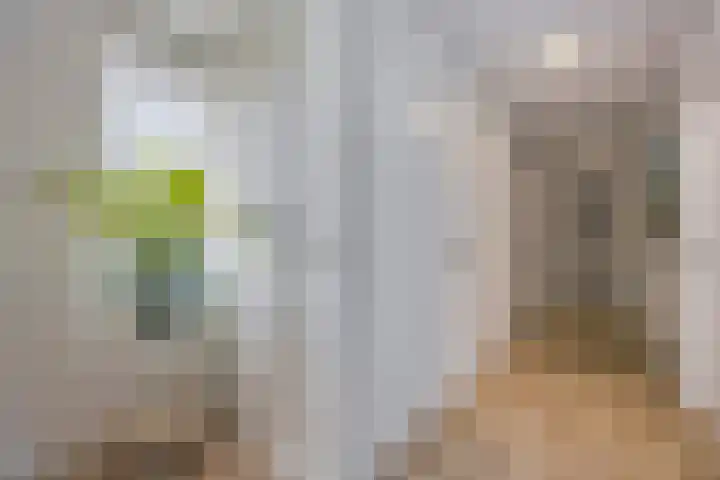 Violier 17 Grave thumbnail 16