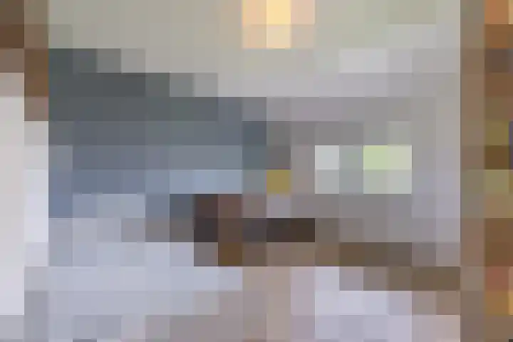 Violier 17 Grave thumbnail 17