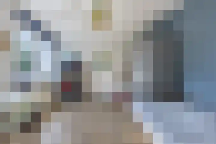 Violier 17 Grave thumbnail 18