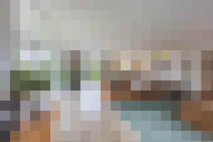 Violier 17 Grave foto 2
