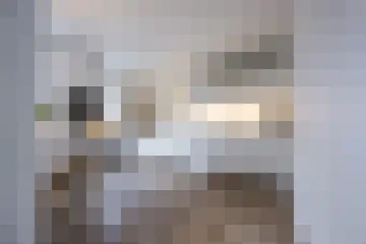 Violier 17 Grave foto 3