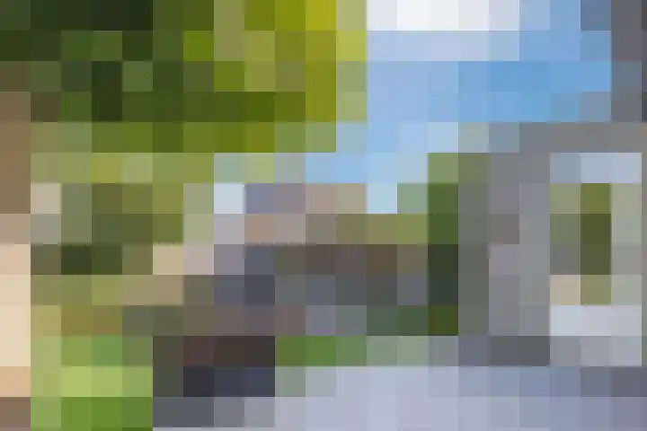Violier 17 Grave thumbnail 33