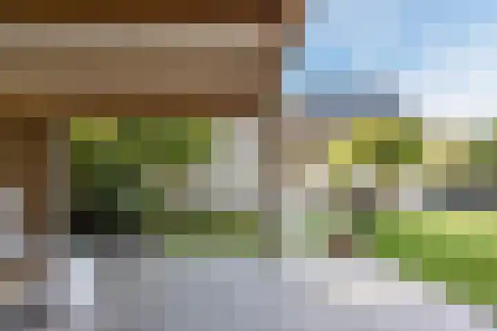 Violier 17 Grave thumbnail 34