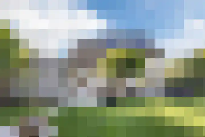 Violier 17 Grave thumbnail 36