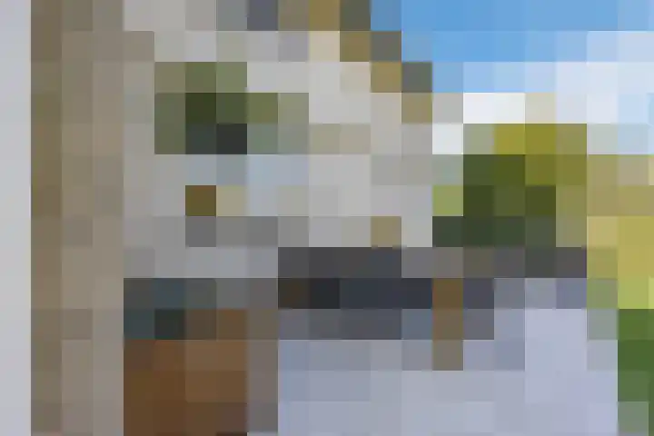 Violier 17 Grave thumbnail 37