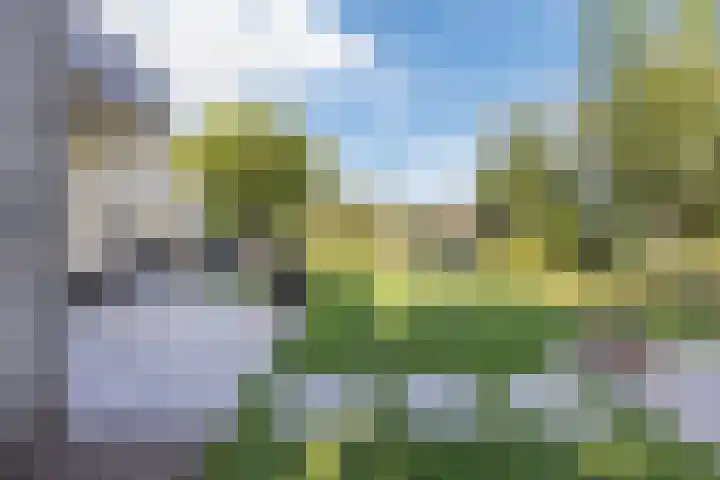 Violier 17 Grave thumbnail 38