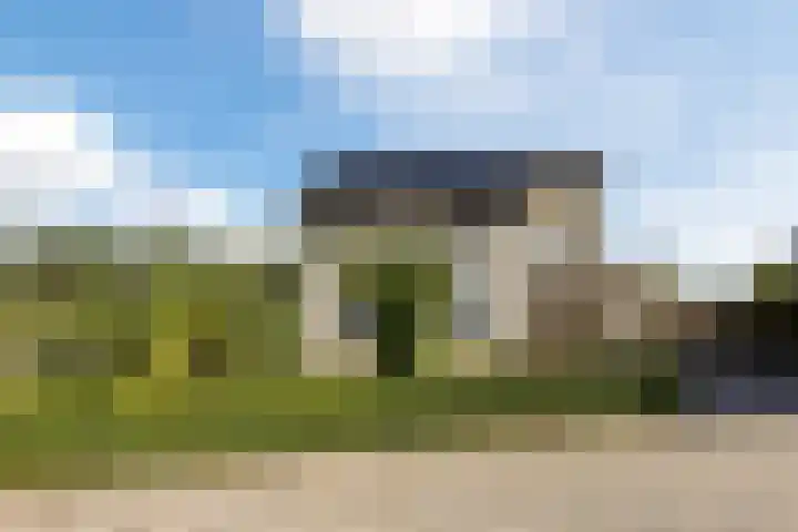 Violier 17 Grave thumbnail 39