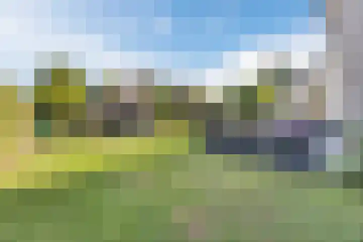 Violier 17 Grave thumbnail 4