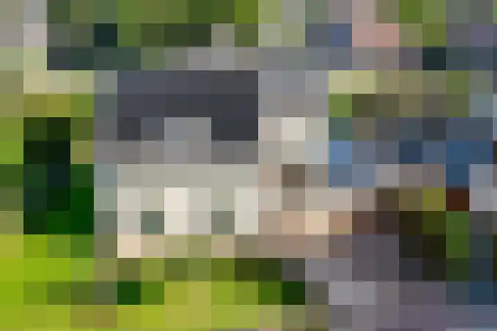 Violier 17 Grave thumbnail 42
