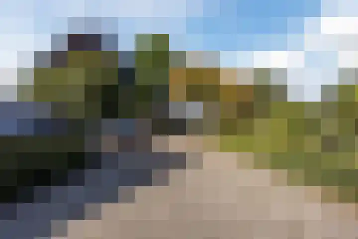 Violier 17 Grave thumbnail 44