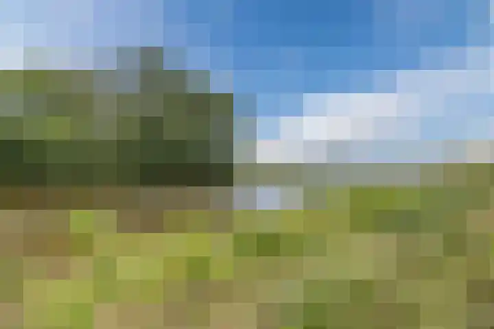 Violier 17 Grave thumbnail 46
