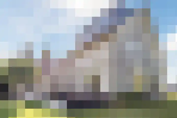 Violier 17 Grave thumbnail 5