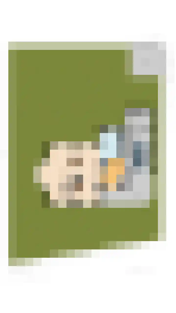 Violier 17 Grave thumbnail 56