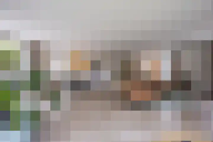 Violier 17 Grave thumbnail 7