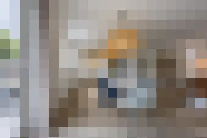 Violier 17 Grave thumbnail 8