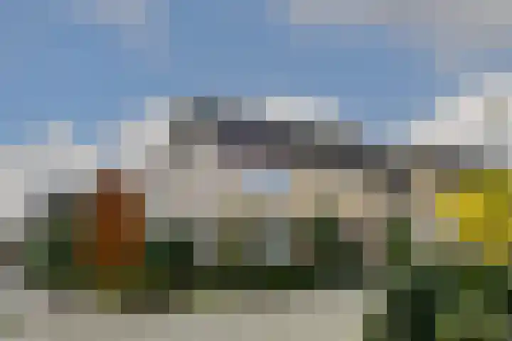 Violier 17 Haelen