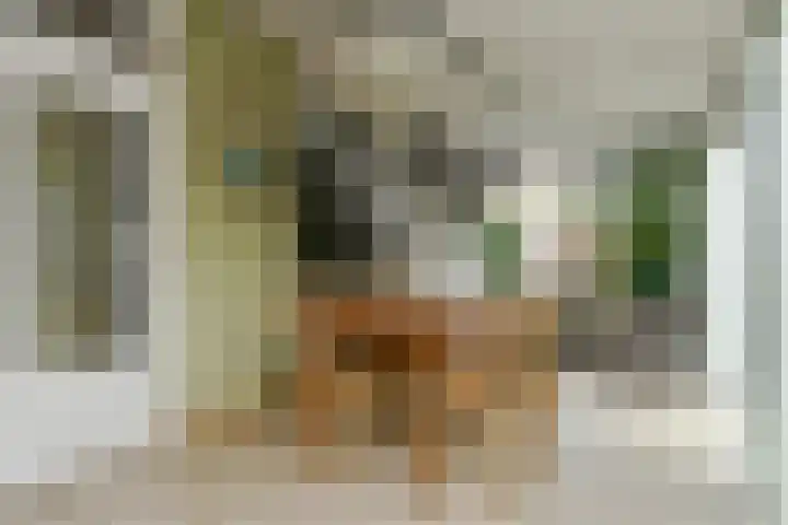 Violier 17 Haelen thumbnail 10