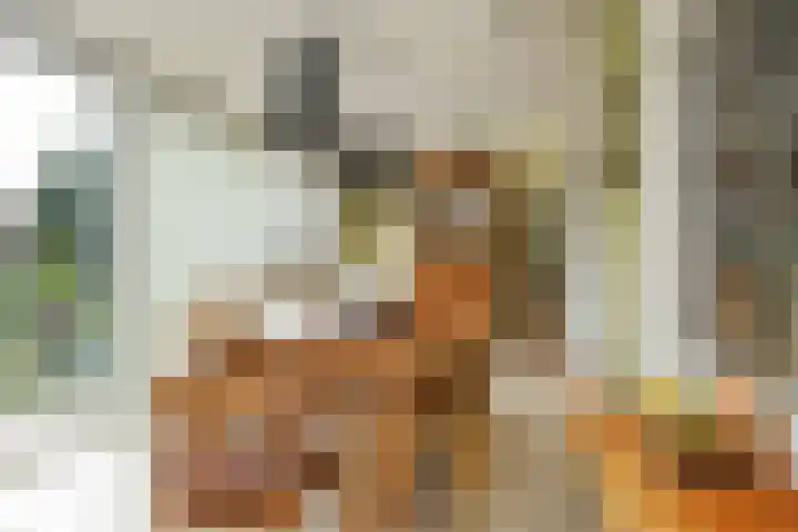 Violier 17 Haelen thumbnail 12