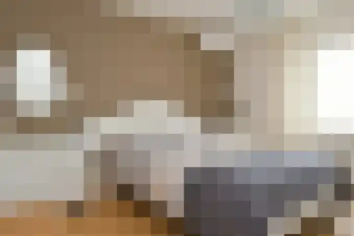 Violier 17 Haelen thumbnail 13