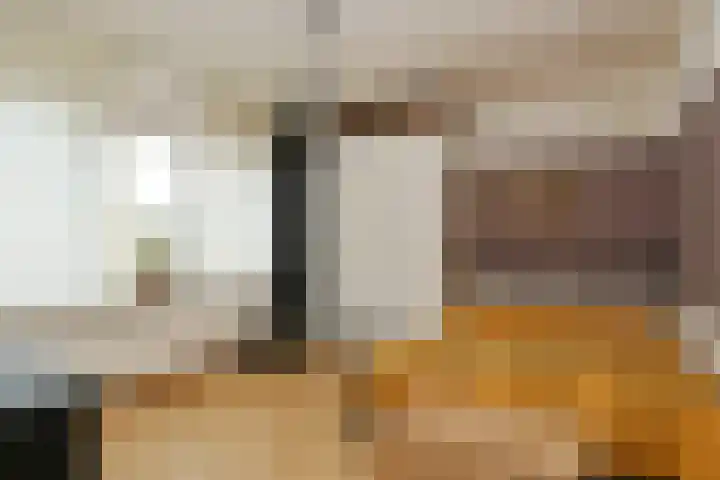 Violier 17 Haelen thumbnail 14