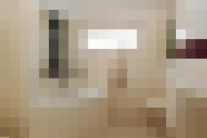 Violier 17 Haelen thumbnail 16