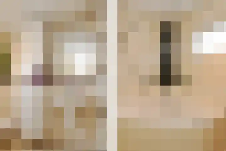 Violier 17 Haelen thumbnail 18