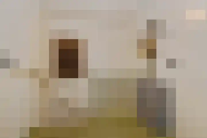 Violier 17 Haelen thumbnail 19