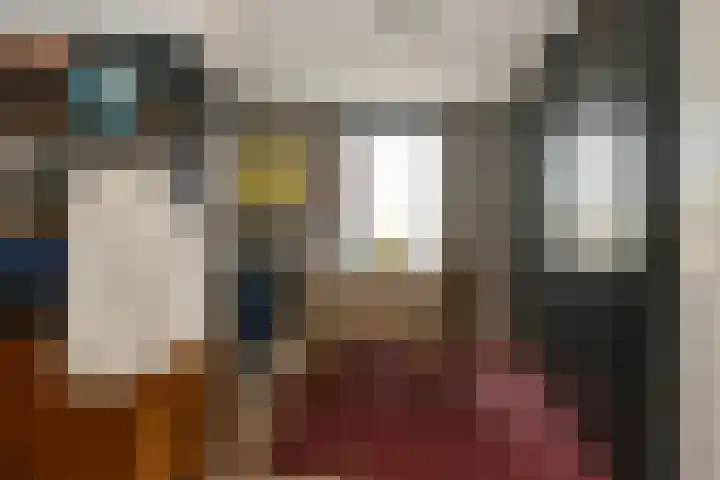 Violier 17 Haelen thumbnail 20