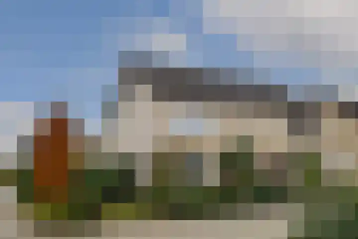 Violier 17 Haelen thumbnail 21