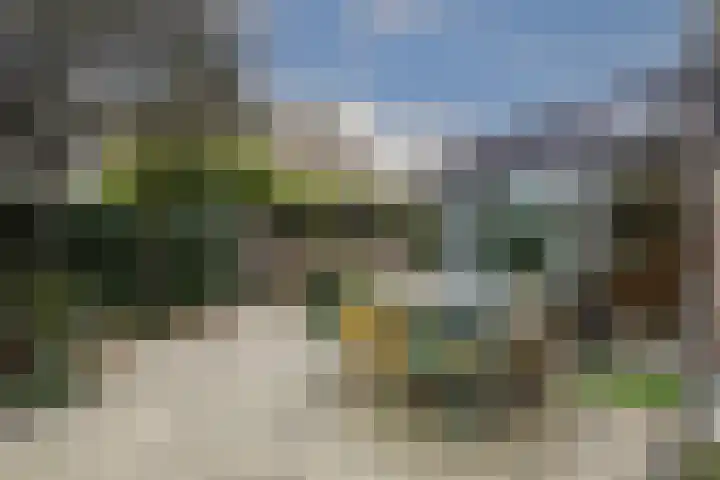 Violier 17 Haelen thumbnail 22