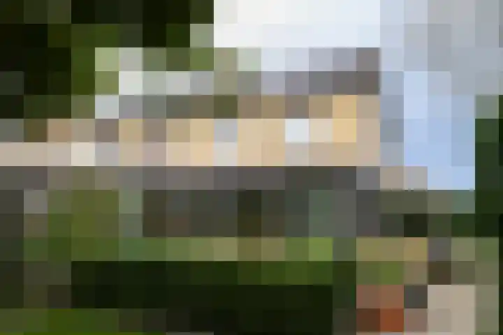 Violier 17 Haelen thumbnail 24