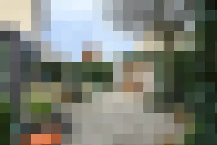 Violier 17 Haelen thumbnail 25