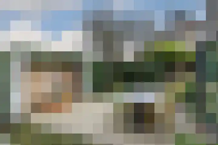 Violier 17 Haelen thumbnail 26