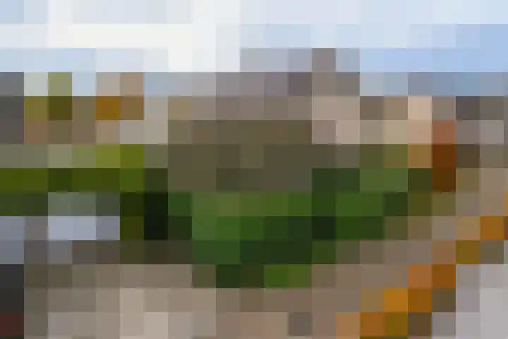 Violier 17 Haelen thumbnail 27