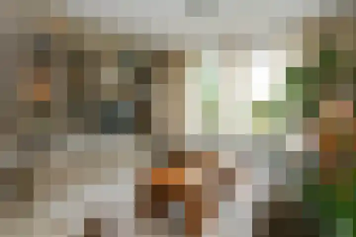 Violier 17 Haelen thumbnail 4